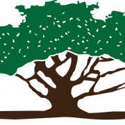 buttonwoodinletrvresort.com logo